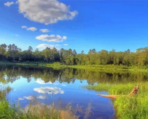 Cool Lake Itasca Paint By Numbers