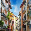 Pamplona City Paint By Numbers