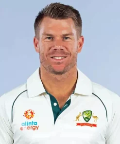 David Warner Paint By Numbers