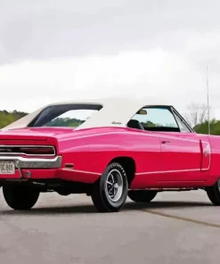 Pink Charger Rt Paint By Numbers