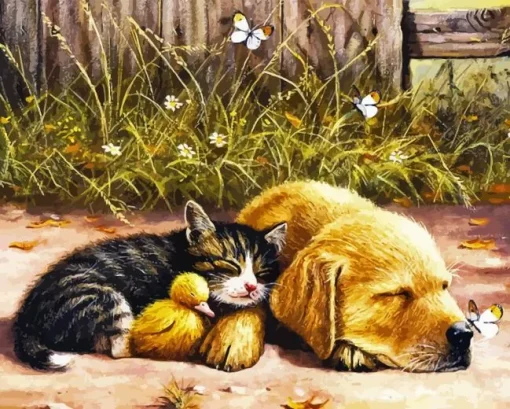 Puppy Kitten Sleep Paint By Numbers