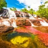 Cano Cristales River Paint By Numbers