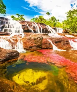 Cano Cristales River Paint By Numbers
