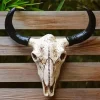 Cow Skull Head Paint By Numbers