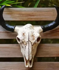 Cow Skull Head Paint By Numbers