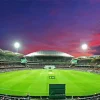 Cricket Groun Paint By Numbers