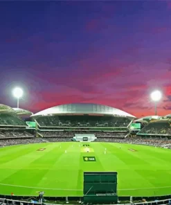 Cricket Groun Paint By Numbers
