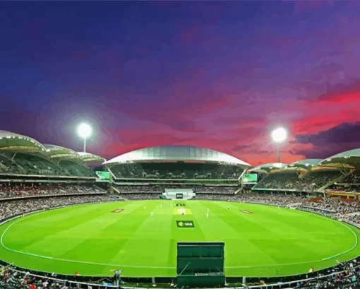Cricket Groun Paint By Numbers