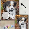 Custom Painting By Numbers​ Pets