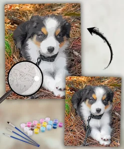 Custom Painting By Numbers​ Pets