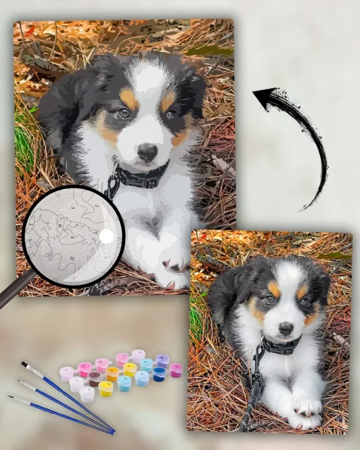 Custom Painting By Numbers​ Pets
