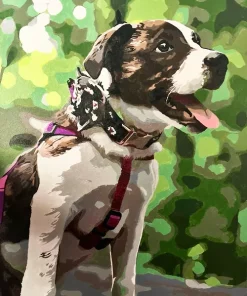 Custom Painting By Numbers​ Pets gallery img 1