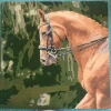 Custom Painting By Numbers​ Pets gallery img 2