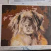 Custom Painting By Numbers​ Pets gallery img 4