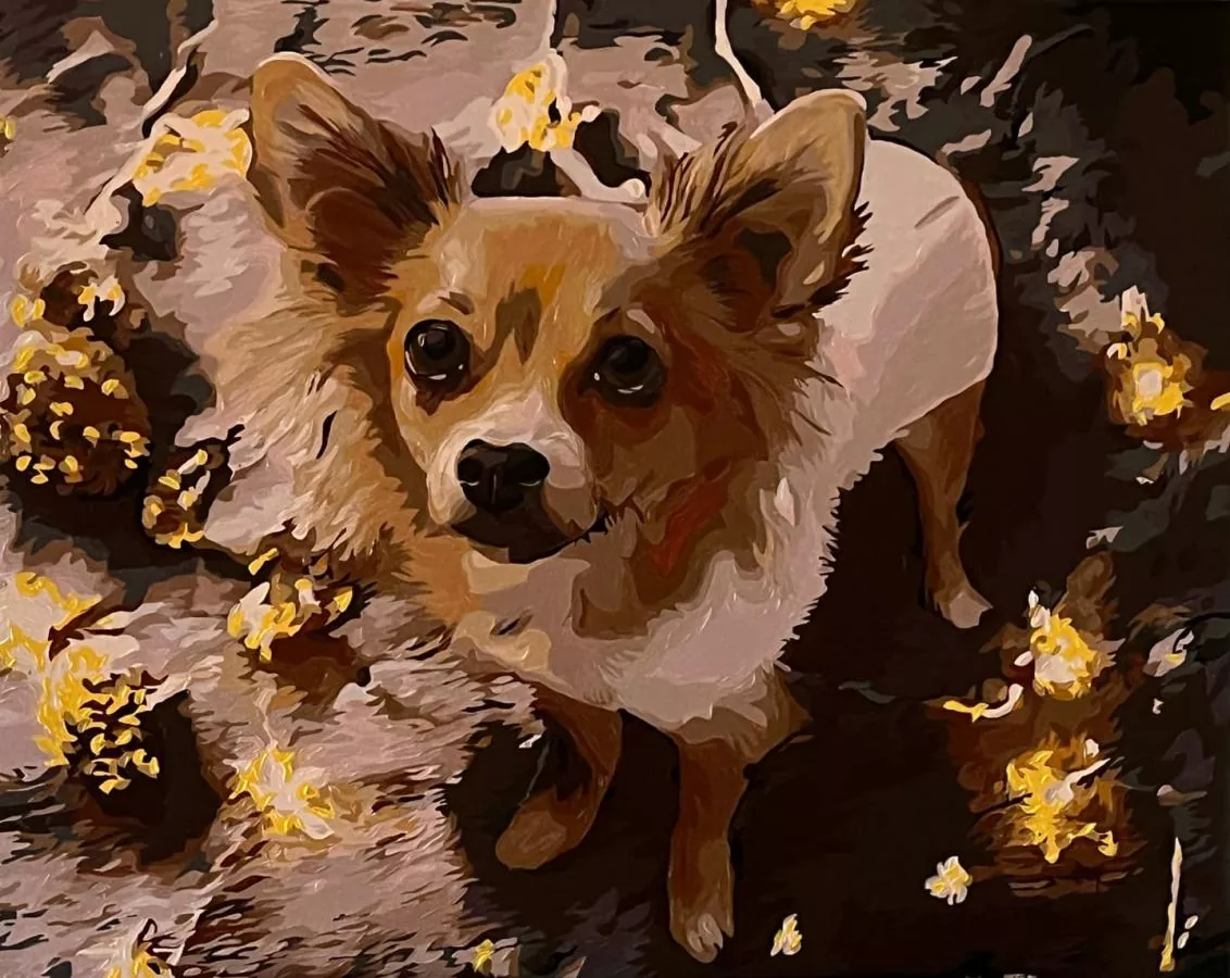 Custom Painting By Numbers​ Pets rev 1
