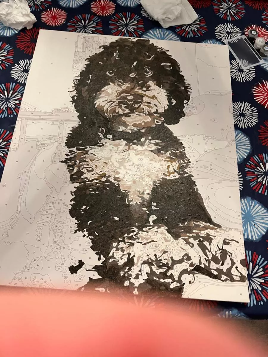 Custom Painting By Numbers​ Pets rev 2
