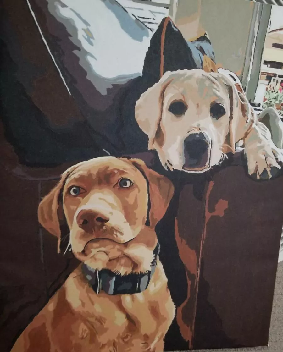 Custom Painting By Numbers​ Pets rev 6