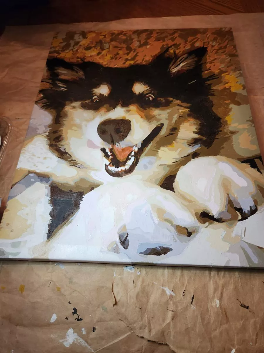 Custom Painting By Numbers​ Pets rev 7