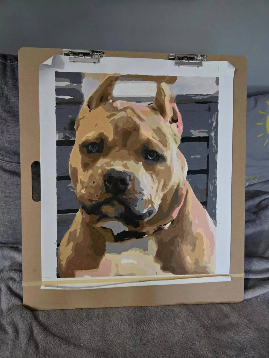 Custom Painting By Numbers​ Pets rev 8