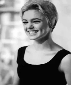Edie Sedgwick Paint By Numbers