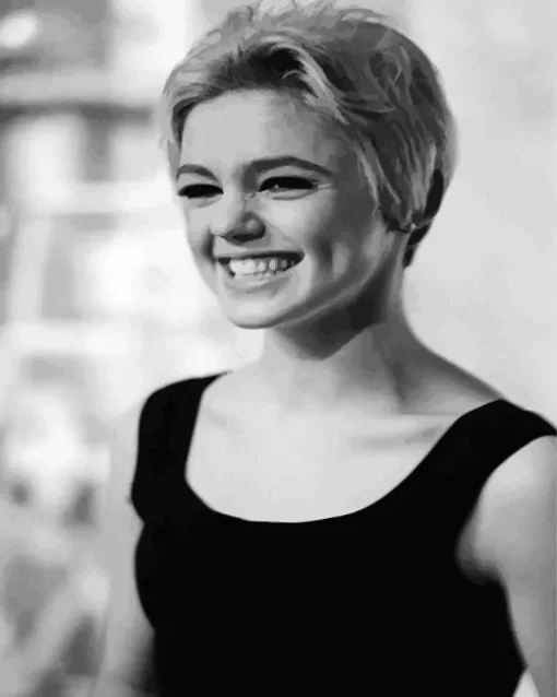 Edie Sedgwick Paint By Numbers