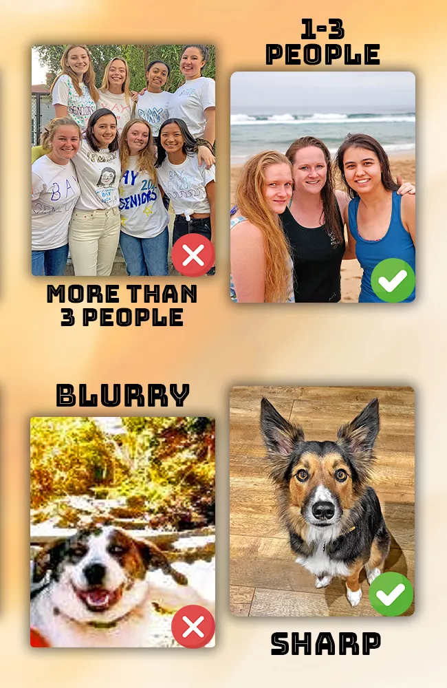 Photo Selection Guide
