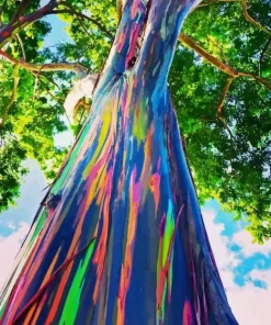 Epic Rainbow Eucalyptus Paint By Numbers