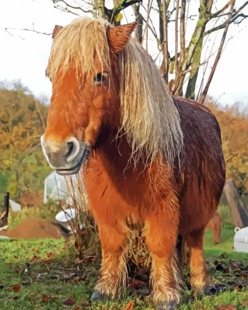 Cute Shetland Pony Paint By Numbers