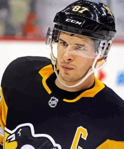 Player Sidney Crosby Paint By Numbers