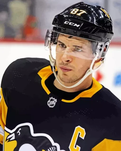 Player Sidney Crosby Paint By Numbers
