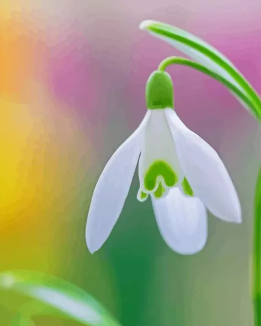 Snowdrops Paint By Numbers