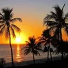 Sunset Sanibel Paint By Numbers