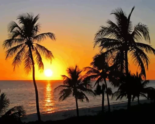 Sunset Sanibel Paint By Numbers