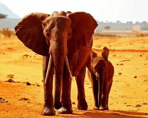 Desert Elephant Paint By Numbers