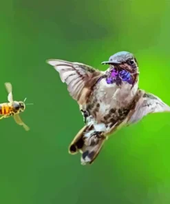 Bee And Bird Paint By Numbers