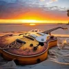 Antique Guitar Paint By Numbers