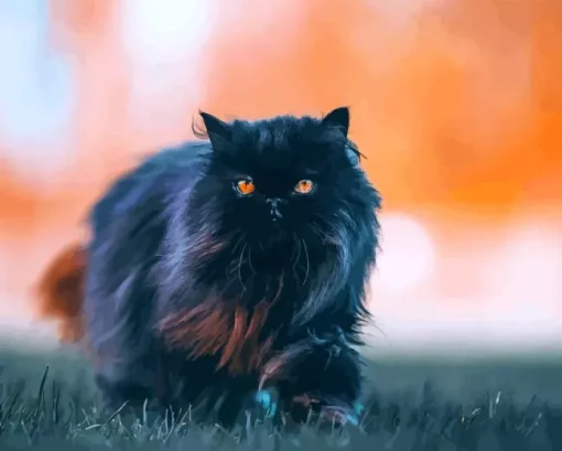 Black Persian Paint By Numbers