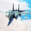 Amazing F 14 Tomcat Paint By Numbers