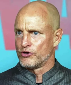 Actor Woody Harrelson Paint By Numbers