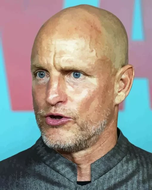 Actor Woody Harrelson Paint By Numbers