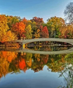 Bow Bridge Paint By Numbers