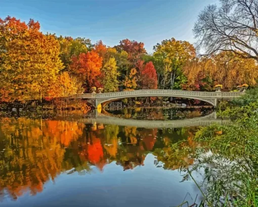 Bow Bridge Paint By Numbers