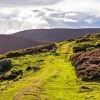 Cairngorm Paint By Numbers