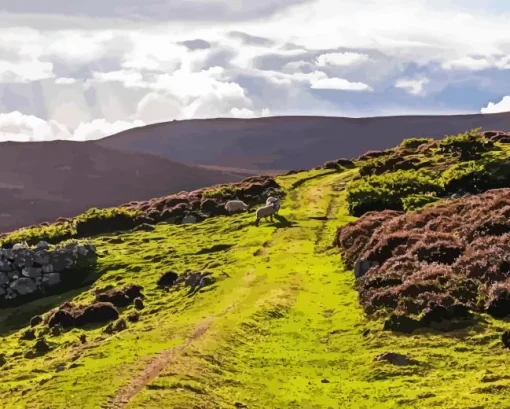 Cairngorm Paint By Numbers