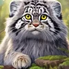 Cute Pallas Cat Paint By Numbers