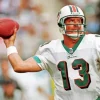 Strong Dan Marino Paint By Numbers