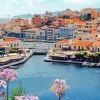 Elounda Paint By Numbers