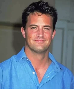 Matthew Perry Paint By Numbers