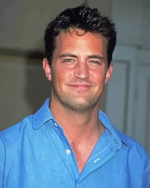 Matthew Perry Paint By Numbers