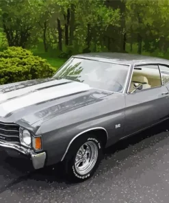 1970 Grey Chevelle Paint By Numbers